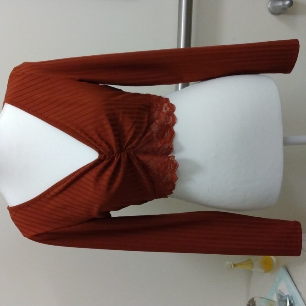 Rust medium long sleeve ribbed crop, shirred at v neck, embellished with lace.